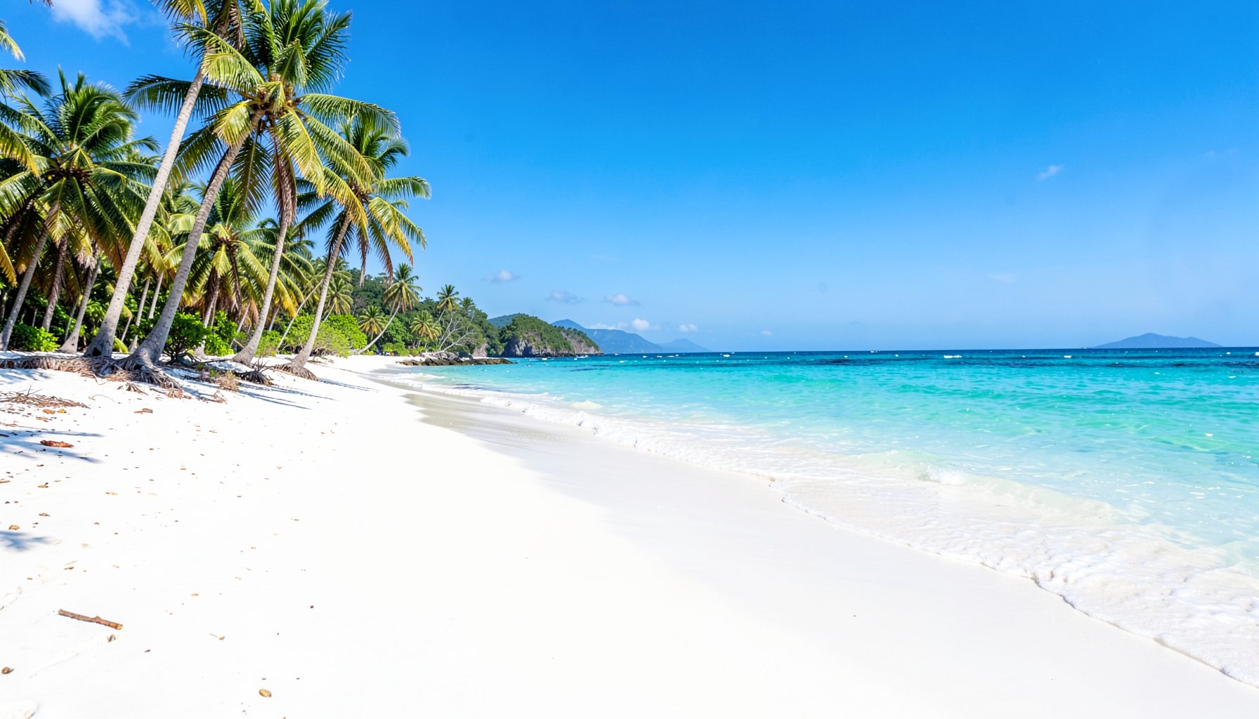 A pristine white-sand beach with gentle turquoise waves and coconut palms under a bright sunny sky
