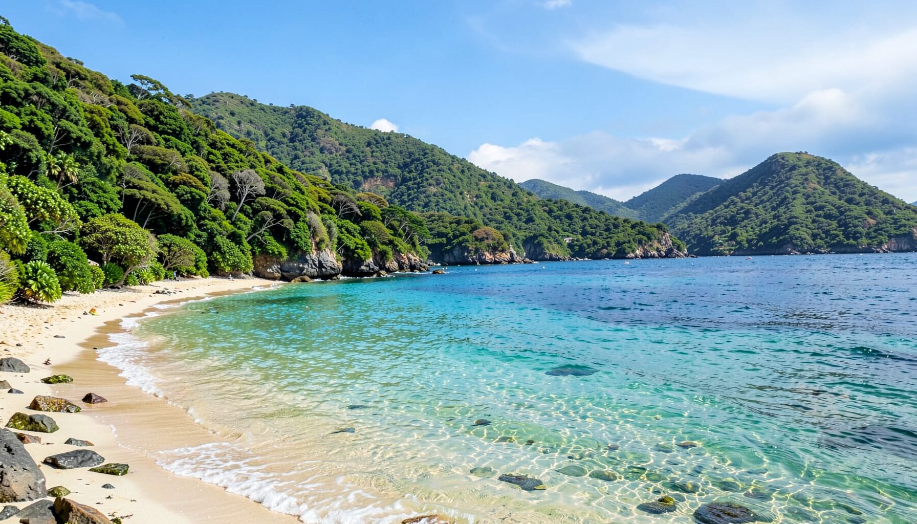 Beautiful beach cove with green hills meeting the sea, clear water, and a peaceful natural setting